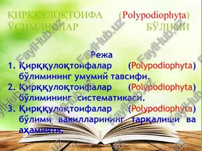 qirqquloqtoifalar (polypodiophyta)bo'limi — PPTX