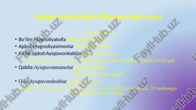 ayiqtavondoshlar(ranunculaceae) — PPTX