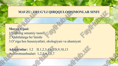 urug’li qirqquloqsimonlar sinfi — PPTX