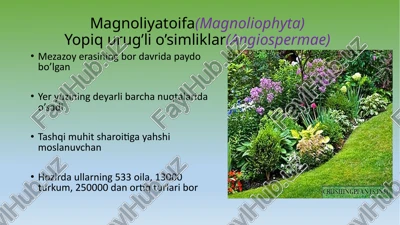 magnoliyatoifa(magnoliophyta) — PPTX
