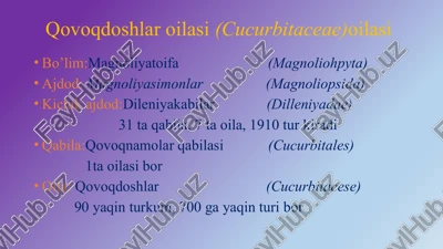 qovoqdoshlar oilasi — PPTX