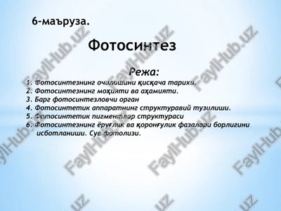 fotosintez — PPTX