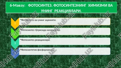 fotosintez — PPTX
