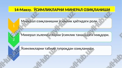 o'simliklarni mieral oziqlanishi — PPTX