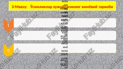 o'simliklar xujayrasining kimyoviy tarkibi — PPTX