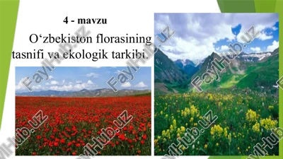 o‘zbekiston florasining tasnifi va ekologik tarkibi — PPTX