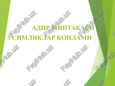 adir mintaqasi o'simliklar qoplami — PPT
