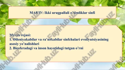 ikki urugpallalio’simliklar sinfi — PPTX