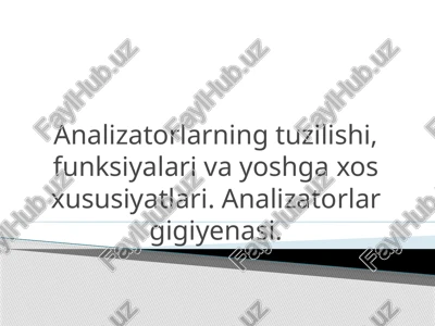 analizatorlarning tuzilishi, funksiyalari va yoshga xos xususiyatlari. analizatorlar gigiyenasi — PPTX