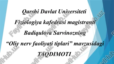 "oliy nerv faoliyat turlari" — PPTX