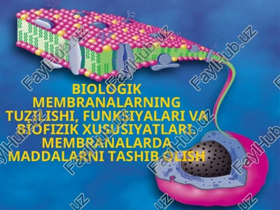 biologik membranalar — PPT