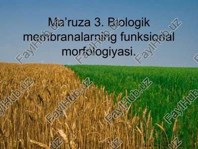 biologik membrana — PPT