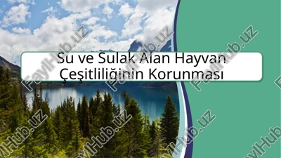 su ve sulak alan hayvan çeşitliliğinin korunması — PPTX