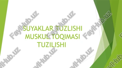 suyaklar tuzlishi muskul toqimasi tuzilishi — PPTX