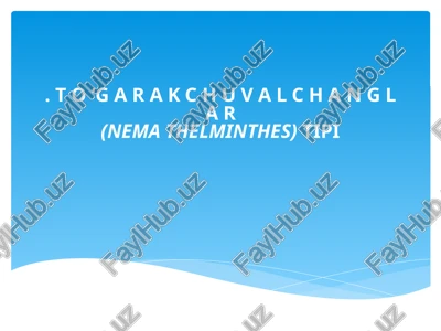 to‘garakchuvalchanglar (nematoda) tipi — PPTX