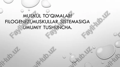 muskul to’qimalari — PDF