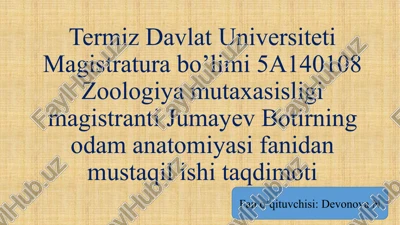 ovqat hazm qilish a’zolari — PPTX