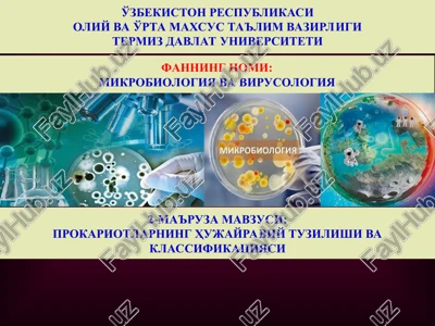 mikrobiologiyava virusologiya — PPT