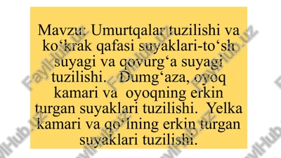 umurtqa suyagi va qovurg'a suyagi tuzilishi — PPTX