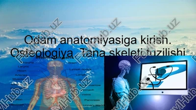 odam anatomiyasi — PPTX
