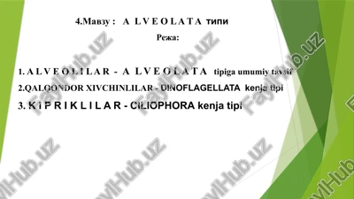 a l v e o l a t atipi — PPTX
