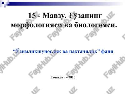 g'o'zaning morfologiyasi va biologiyasi — PPT
