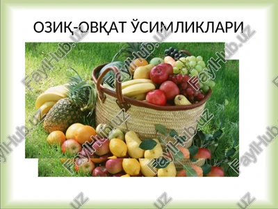oziq-ovqat o'simliklari — PPT