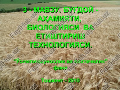 bug'doy- ahamiyati, biologiyasi va etishtirish texnologiyasi — PPT