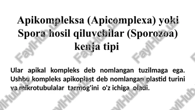 apikompleksa (apicomplexa) yoki spora hosil qiluvchilar (sporozoa) — PPTX