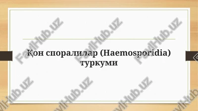 qonsporalilar (haemosporidia) turkumi — PPTX