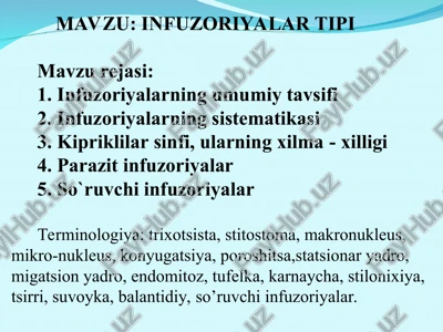 infuzoriyalar turi — PPT