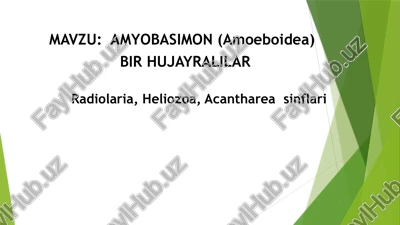 amyobasimon (amoeboidea) — PPTX