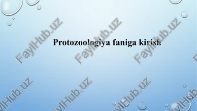 protozoologiyafaniga kirish — PPTX