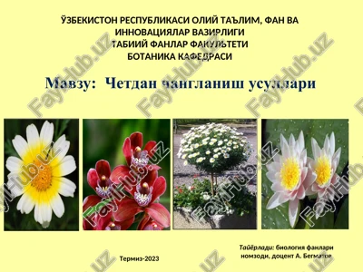 chetdan changlanish usullari — PPT