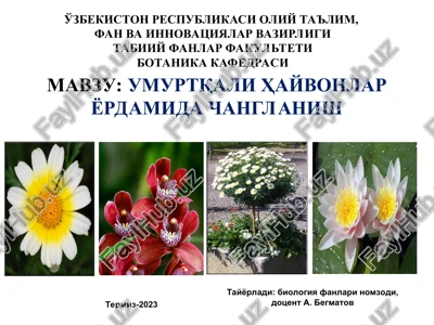 umurtqali hayvonlar yordamida changlanish — PPT