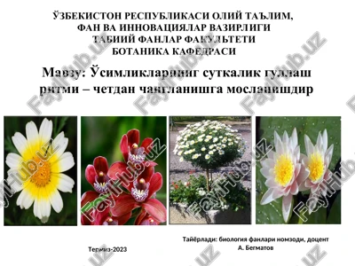 o'simliklarning sutkalik gullash ritmi — PPT