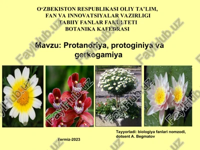 protandriya, protoginiya va gerkogamiya — PPT