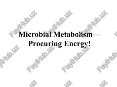 microbial metabolism—procuring energy! — PPT