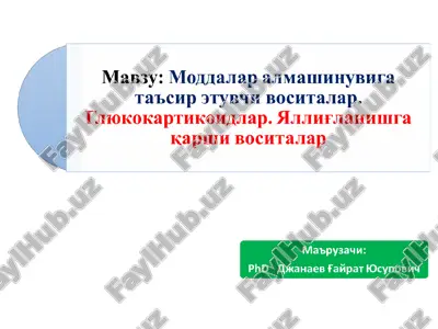 topmouni bausarot ha — PPT