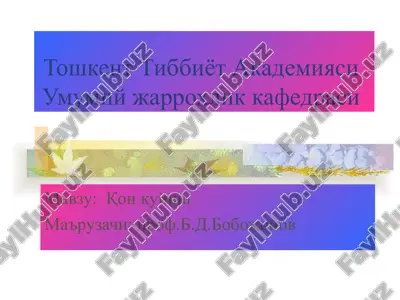 qon quyish — PPT