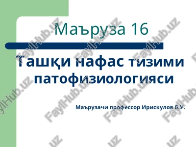 tashqi nafastizimi patofiziologiyasi — PPT