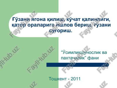 o'simlikshunoslik va paxtachilik — PPT