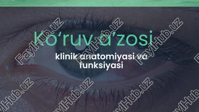 ko‘ruv a’zosi — PPTX