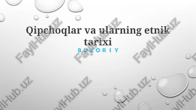 qipchoqlar va ularning etnik tarixi — PPTX