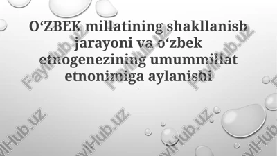 o'zbek millatining shakllanish jarayoni — PPTX