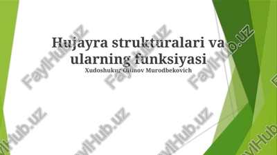 hujayra strukturalari va ularning funksiyasi — PPTX