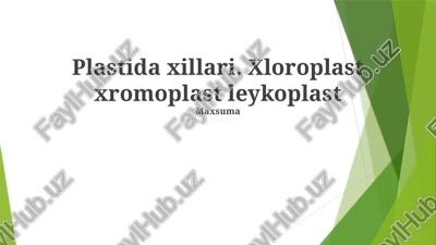 plastidlarning vazifalari va ahamiyati — PPTX