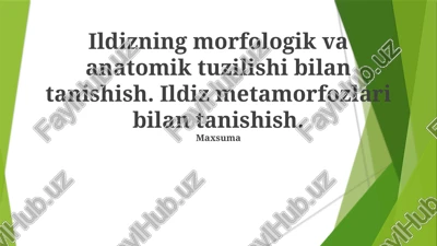 ildizning morfologik va anatomik tuzilishi bilan tanishish — PPTX