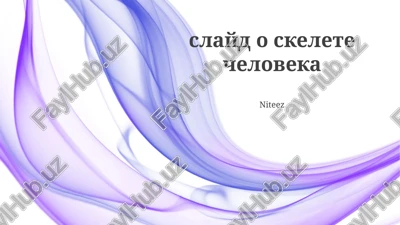 chelovecheskiy skelet — PPTX