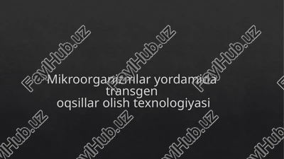 transgenoqsillarnima? — PPTX